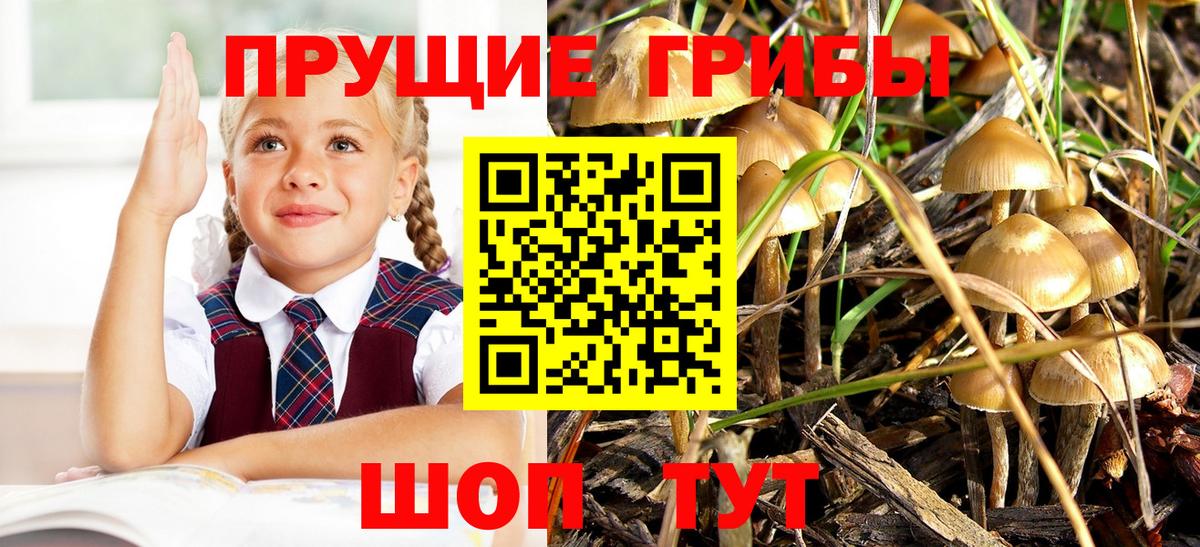 Нефтекумск  Псилоцибиновые грибы мицелий  Вход с VPN  Галлюциногенные грибы мухоморы 