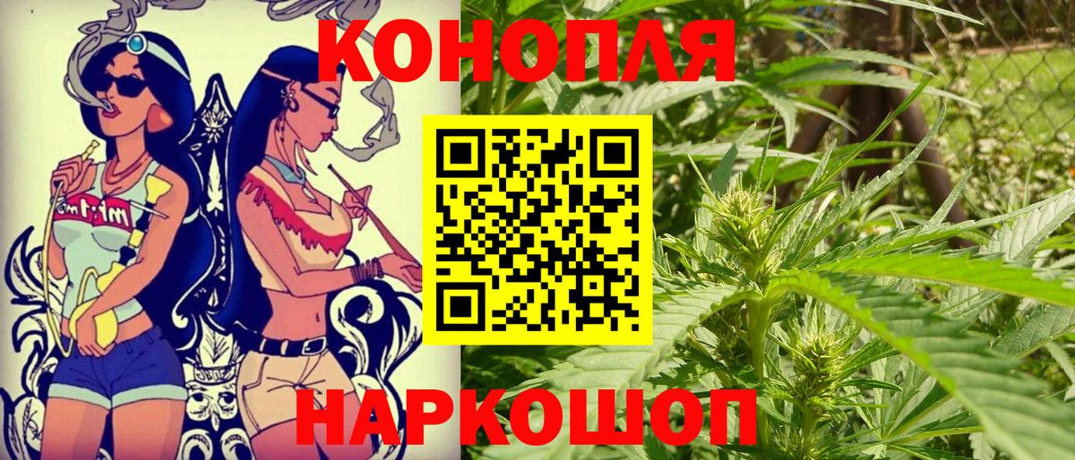 Шишки марихуана планчик Нефтекумск